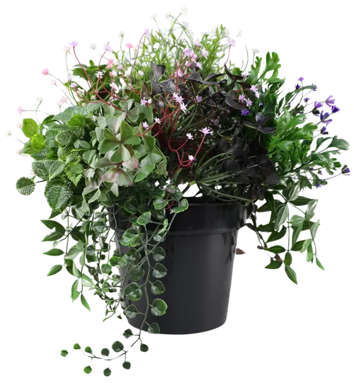 Artificial Assorted Plants & Flowers In Black Pot