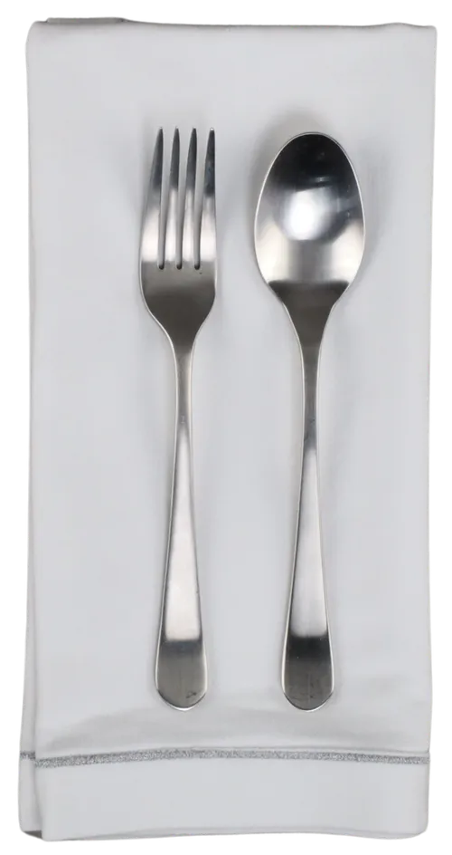 White With Silver Embroidered Trim Napkin