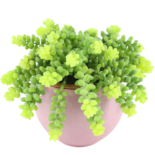 Artificial Stonecrops Succulent Plant In Pink Ceramic Pot