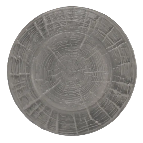 Bleached Tree Dinner Plate