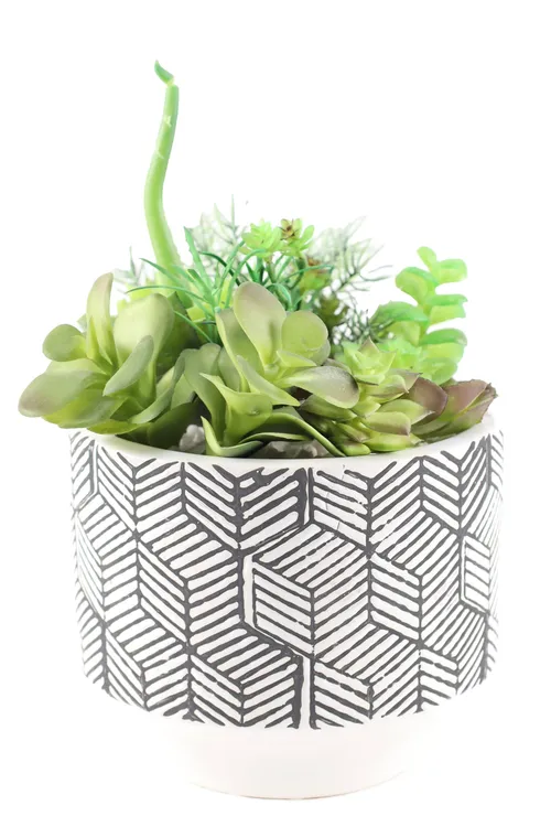 Artificial Succulent Plants In Grey & White Geometric Pot