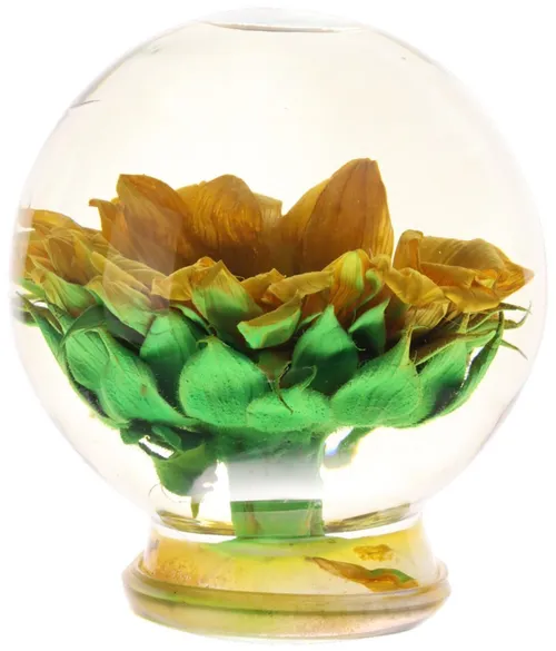 Sunflower In Clear Glass Sphere