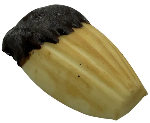 Artificial Shortbread & Chocolate Cookie