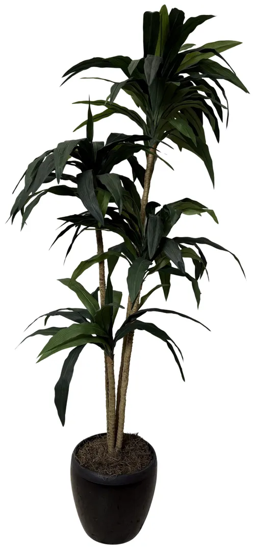 Artificial Corn Stalk Dracaena Plant In Black Pot