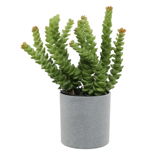 Artificial Burrow's Tail In Grey Pot