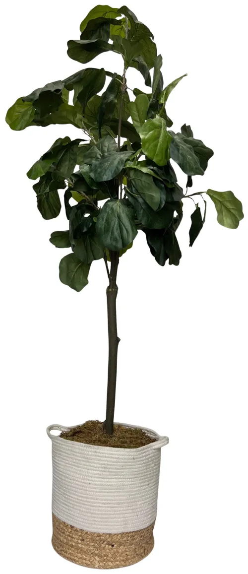 Artificial Fiddle Leaf Fig Plant In Woven Basket Planter