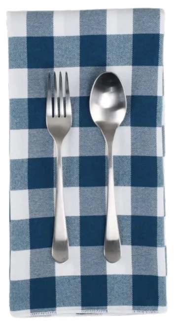 Blue & White Gingham Napkin