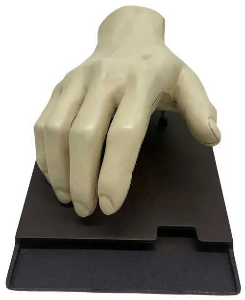 Human Hand & Bones Model