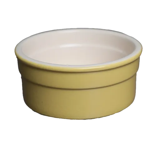 Forsythia Blossom Yellow Ceramic Ramekin