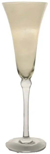 Clear Glass Iridescent Champagne Flute