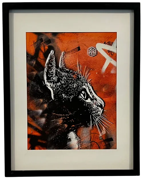 Graffiti Cat In Black Frame