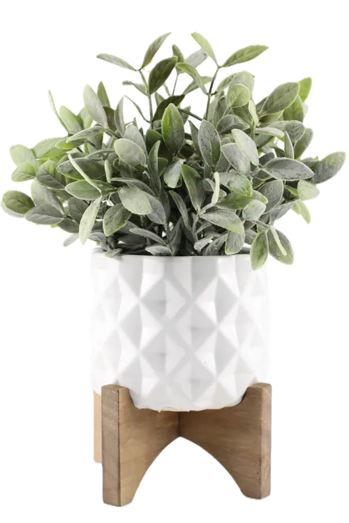 Artificial Goat Nut Plant In White Ceramic Pot With Wooden Legs