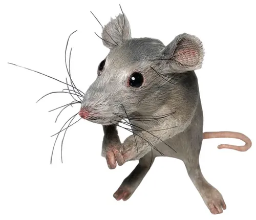 Super Realistic Faux Fur Grey Mouse