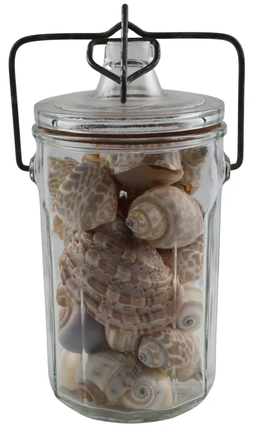 Antique Clear Glass Clamping Jar With Sea Shells