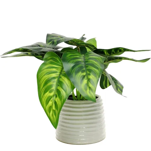 Artificial Peacock Plant In White Gloss Ribbed Ceramic Pot