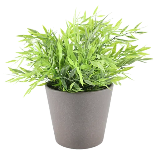 Artificial Butcher's Broom Plant In Graphite Ceramic Pot
