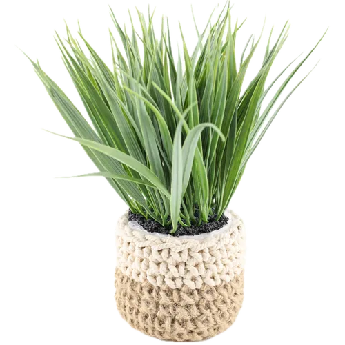 Artificial Cabbage Tree In Braided Beige Pot