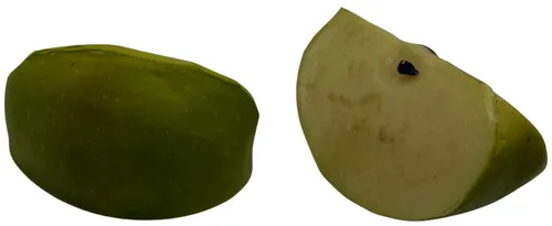 Artificial Green Apple Slice