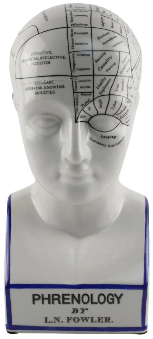 Ceramic Phrenology Head