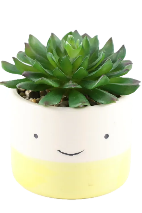 Artificial Pinwheel Succulent Plant In White & Yellow Happy Face Ceramic Pot
