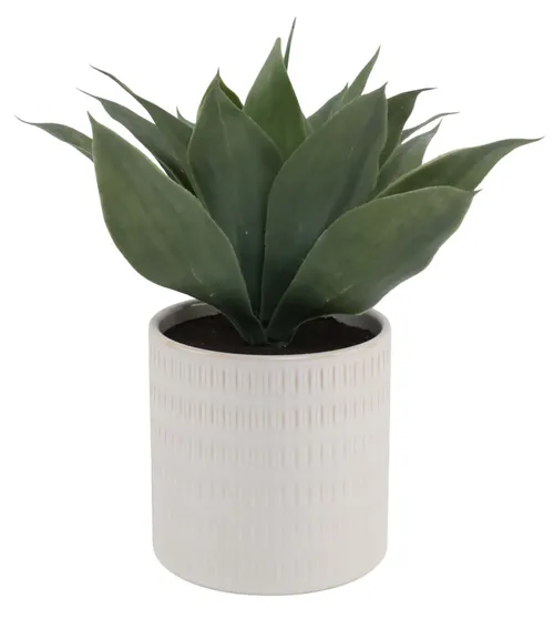 Artificial Agave Plant With White Dash Pot