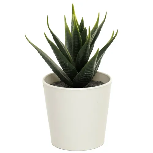 Artificial Haworthias Succulent Plant In White Pot