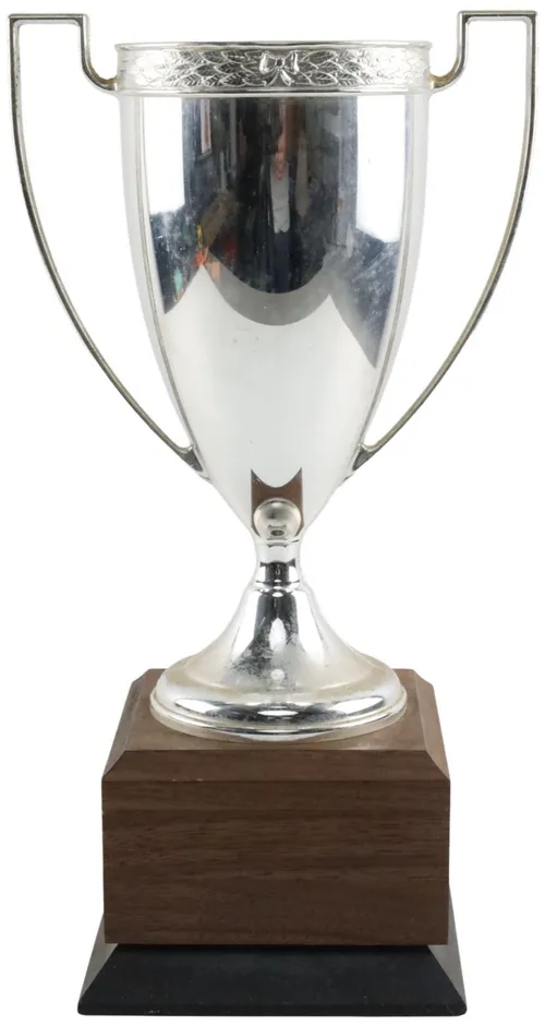 Trophy Cup On Wood Base