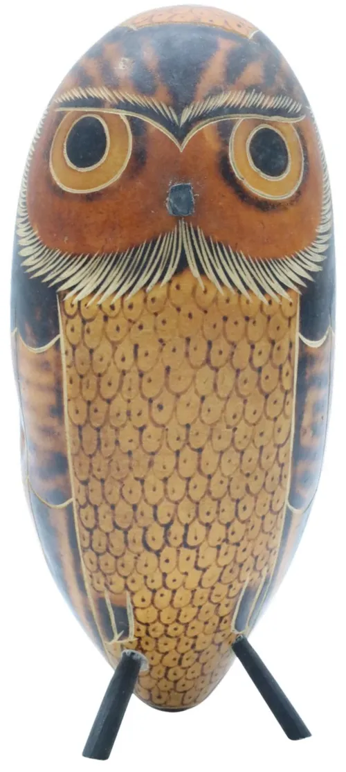 Painted Gourd Owl