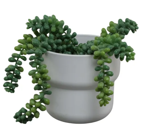Artificial Pea Plant In White Pot