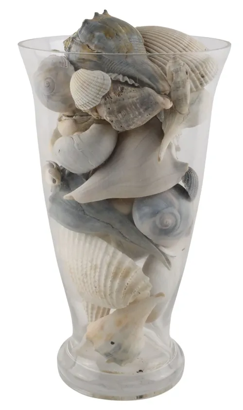 Clear Glass Vase With Sea Shells