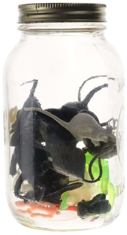 Clear Glass Jar With Rubber Mice
