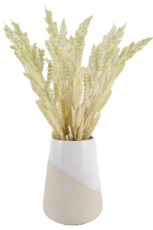 White Artificial Feather Weed In Two Tone White & Beige Ceramic Vase