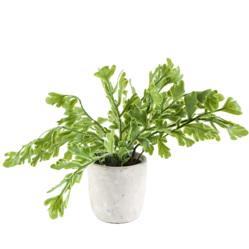 Artificial Selloum Philodendron Plant In Stone Pot