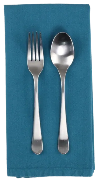 Light Teal Napkin