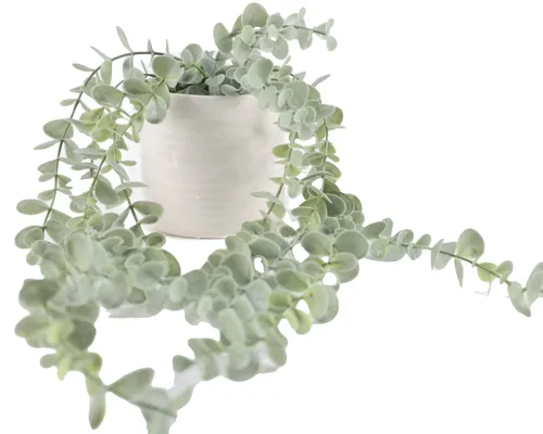Artificial Silver Dollar Plant In White Ribbed Ceramic Pot
