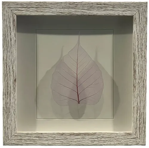 Pink Leaf In White Shadowbox Frame