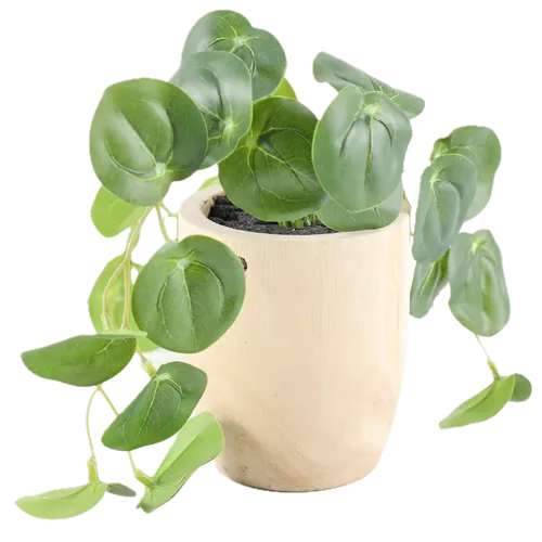 Artificial Money Plant In Wooden Pot