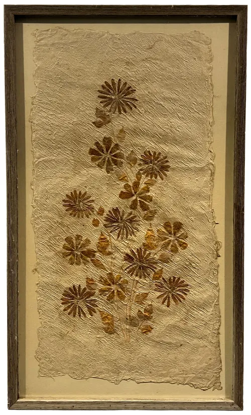 Pressed Flowers In Paper In Wood Frame