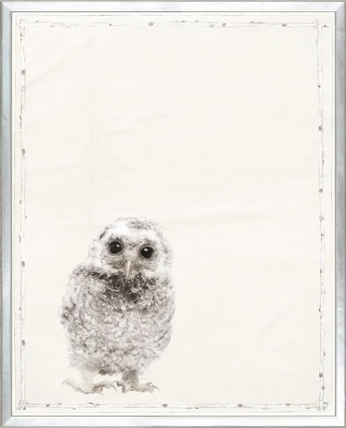 Baby Owl Photograph With Silver Frame