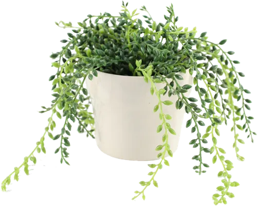 Artificial Spring Of Pearls Plant In Beige Ceramic Pot