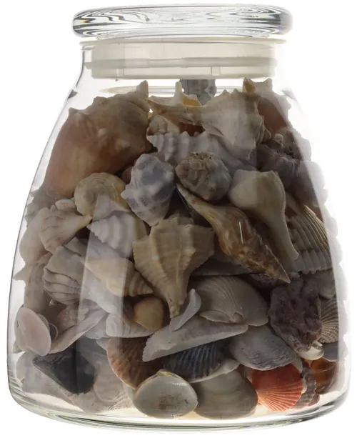 Clear Glass Tapered Jar With Lid Containing Seashells