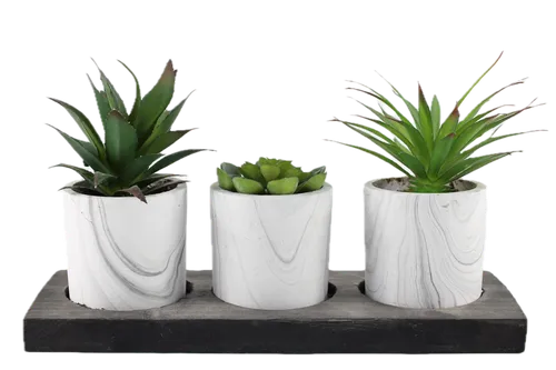 Artificial 3 Potted Succulent Plants In White & Grey Pots On Wooden Tray