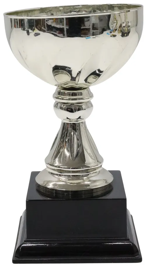 Silver Cup Trophy With Black Base