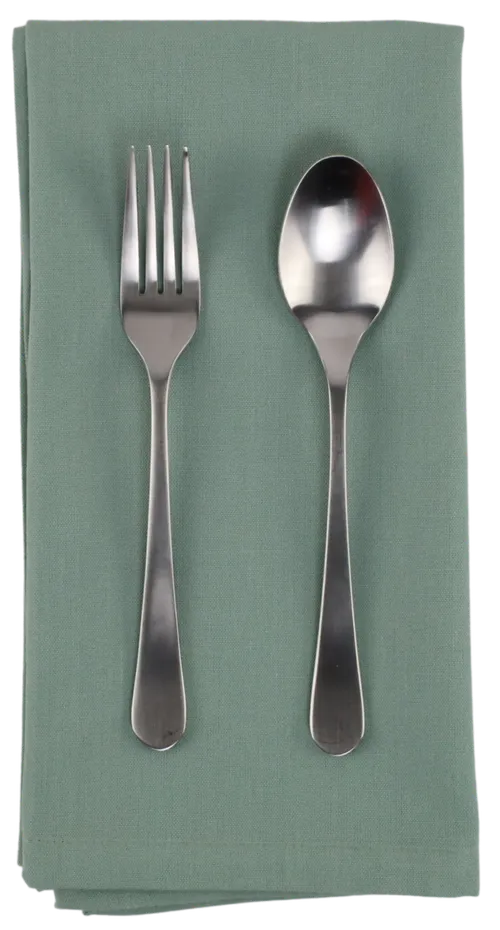 Solid Mint Green Napkin
