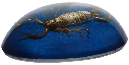 Natural Scorpion In Blue Lucite Paperweight