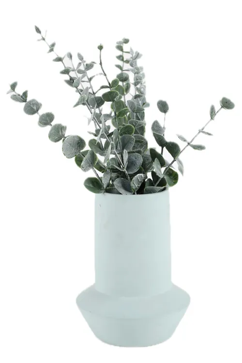 Silver Dollar Plant In Matte Pale Teal Ceramic Vase