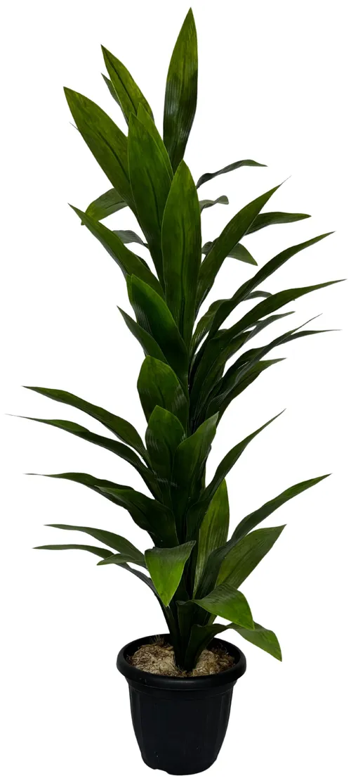 Artificial Slender Dracaena Plant