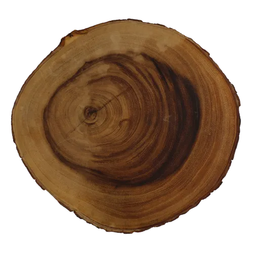 Large Live Edge Wood Cutting Board