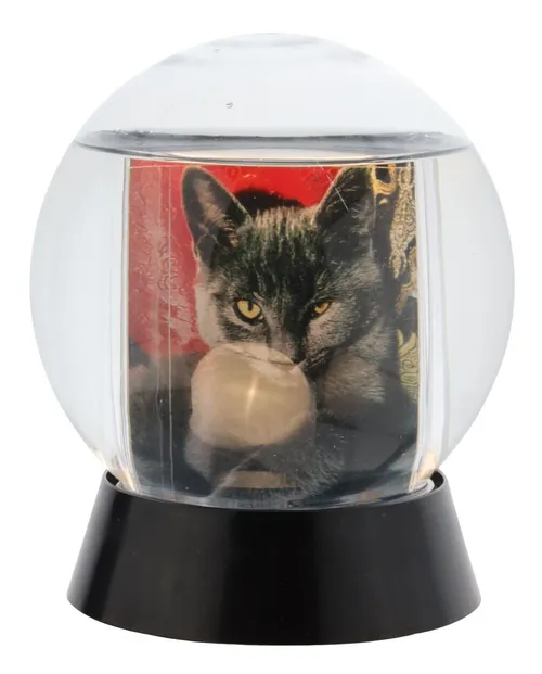 Grey Cat Photo  In Snow Globe