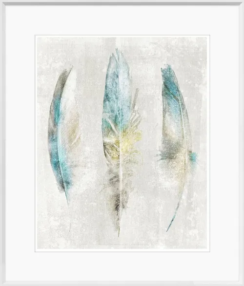 Three Feathers On Paper With White Frame